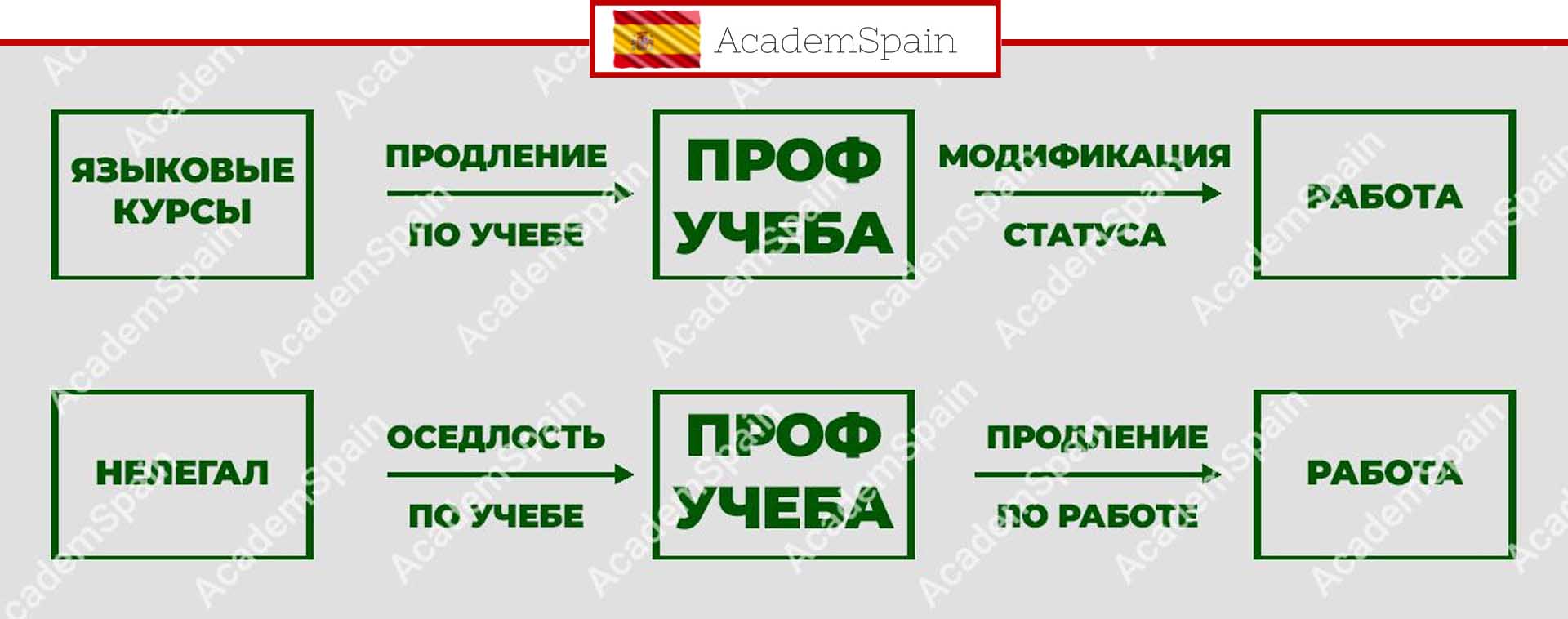 программы обучения