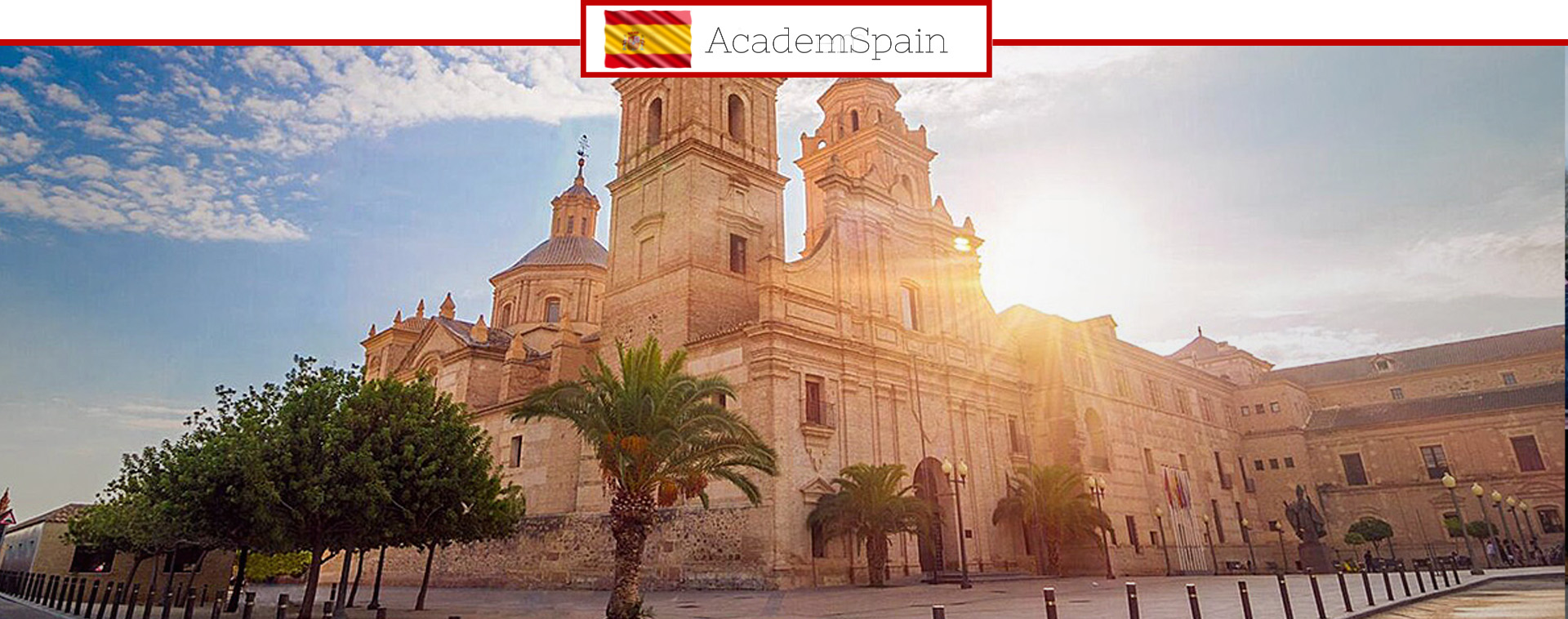 университет